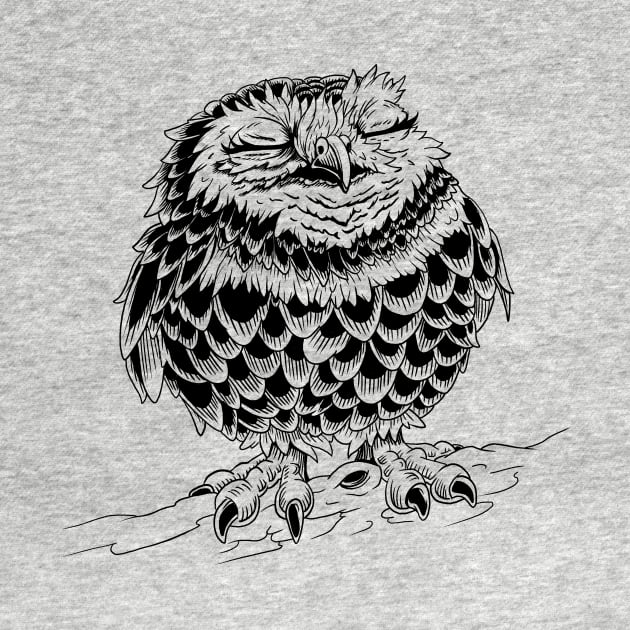 Little Owl by Ian Moss Creative